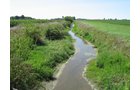 Property photo 10 - 192.5+/- Acres Offered in 3 Tracts